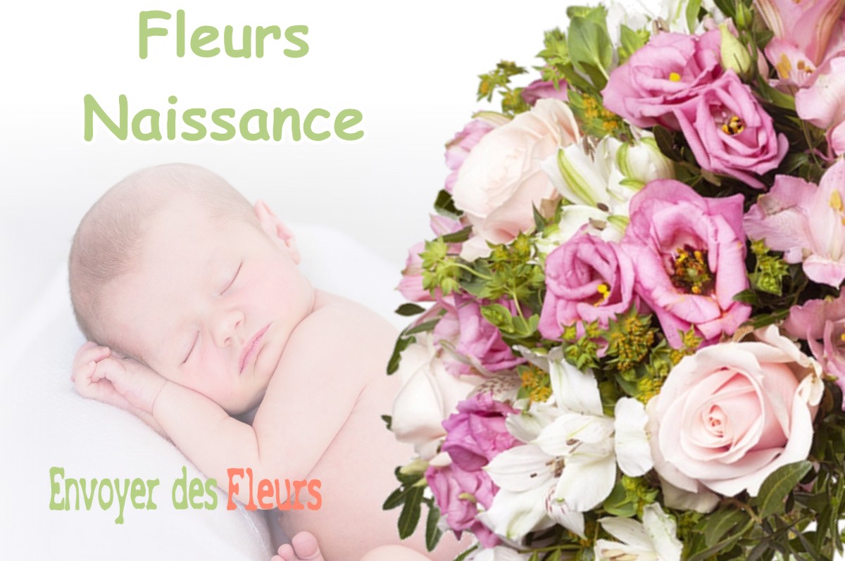 lIVRAISON FLEURS NAISSANCE à SEYSSES